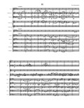 Concerto for Arpeggione and Orchestra - 3.Larghetto